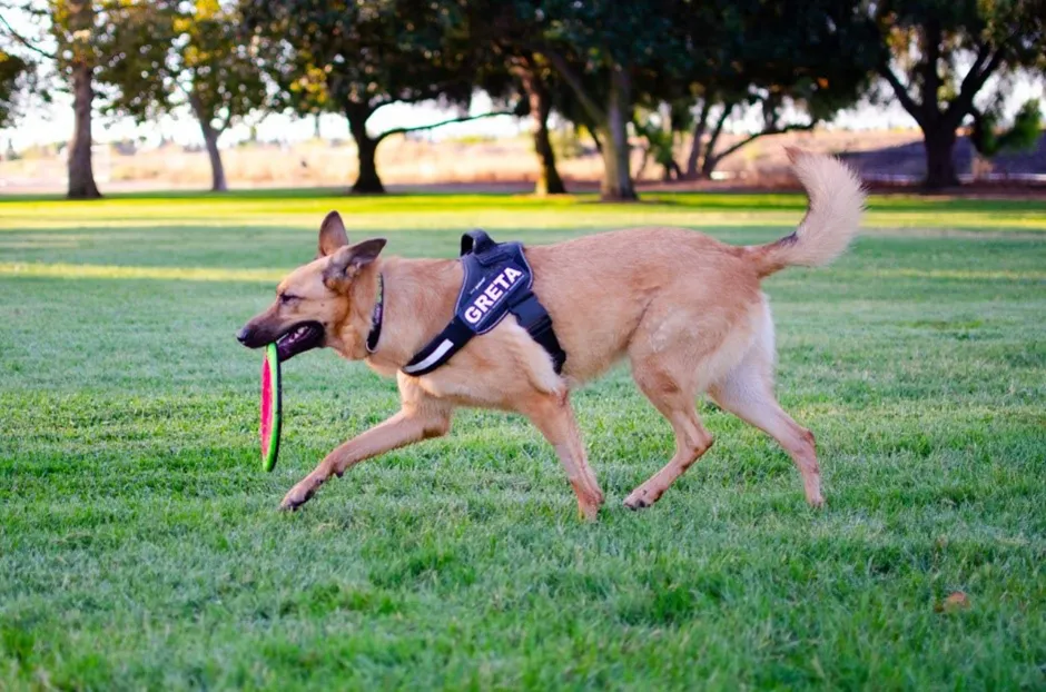 loon op zand nieuws 9 zomerspelletjes