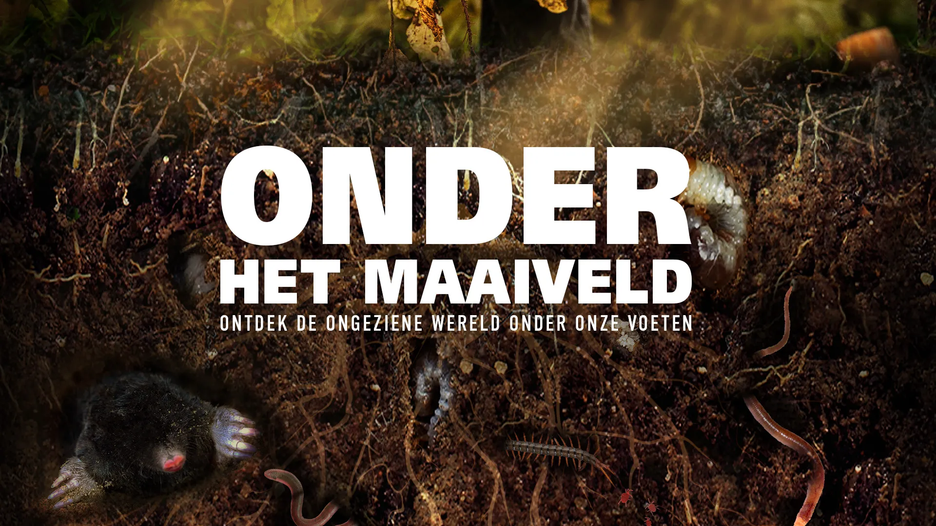 onder het maaiveld poster