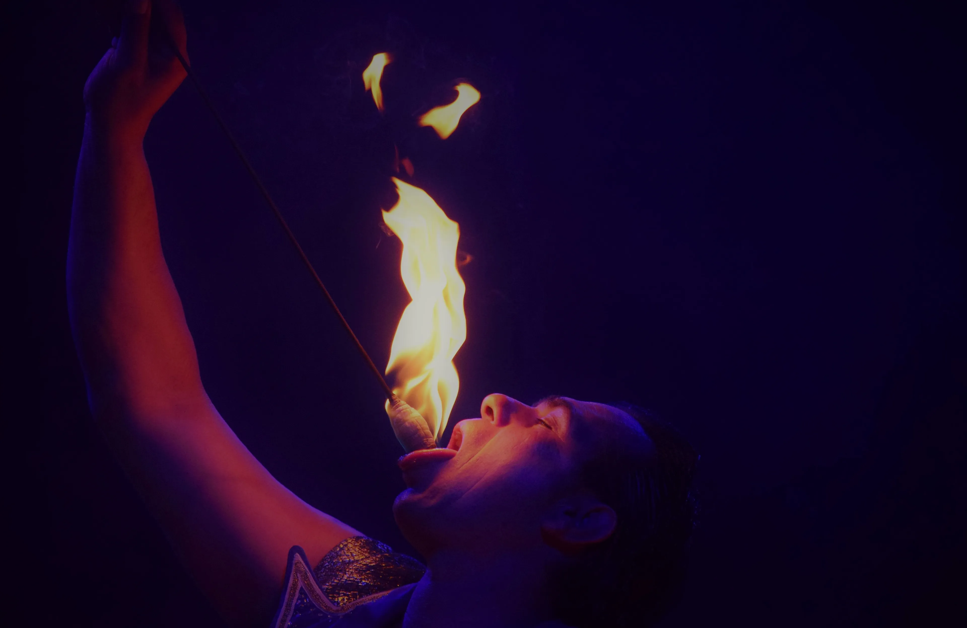 persfoto 01 steffen wolf1