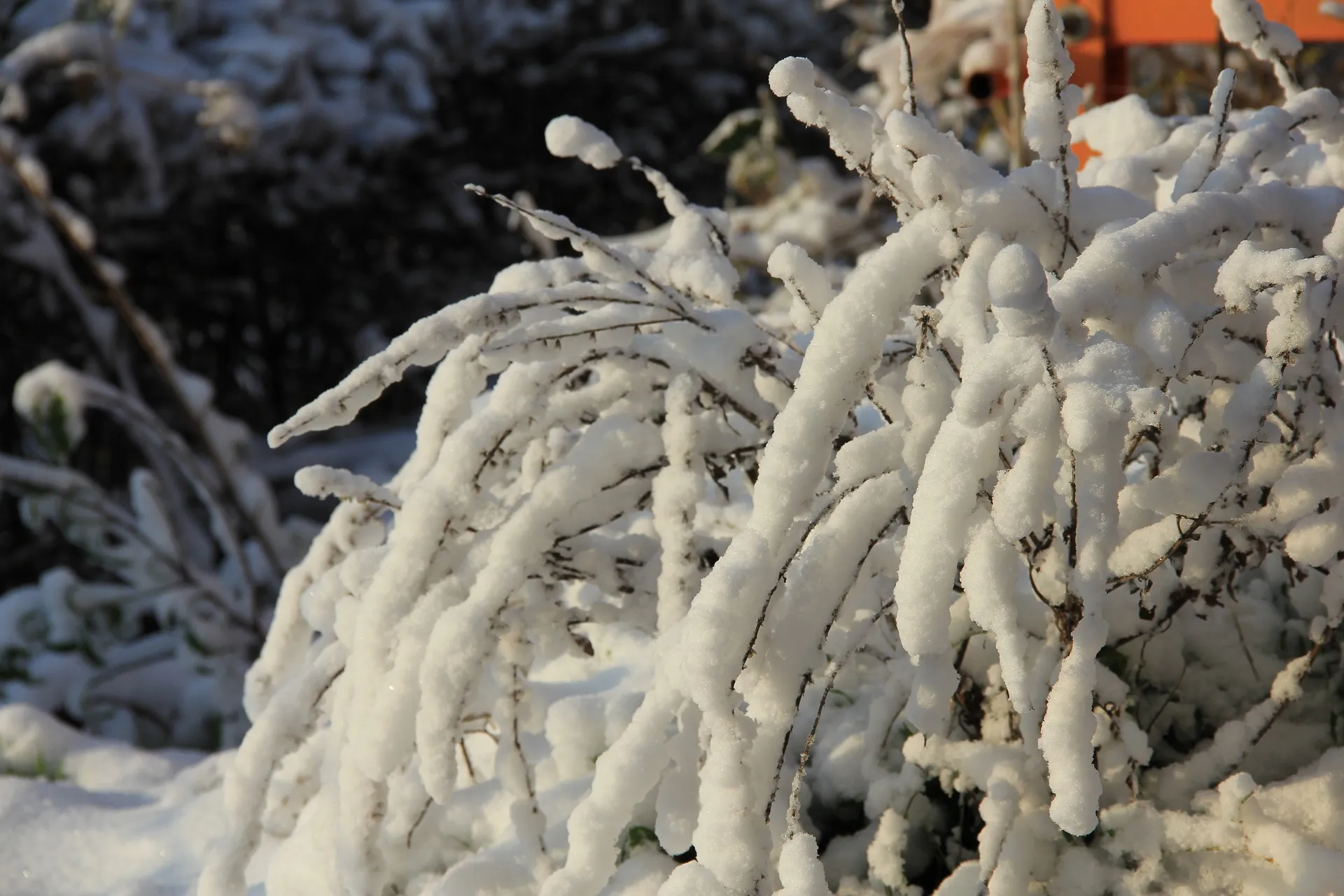 sneeuw