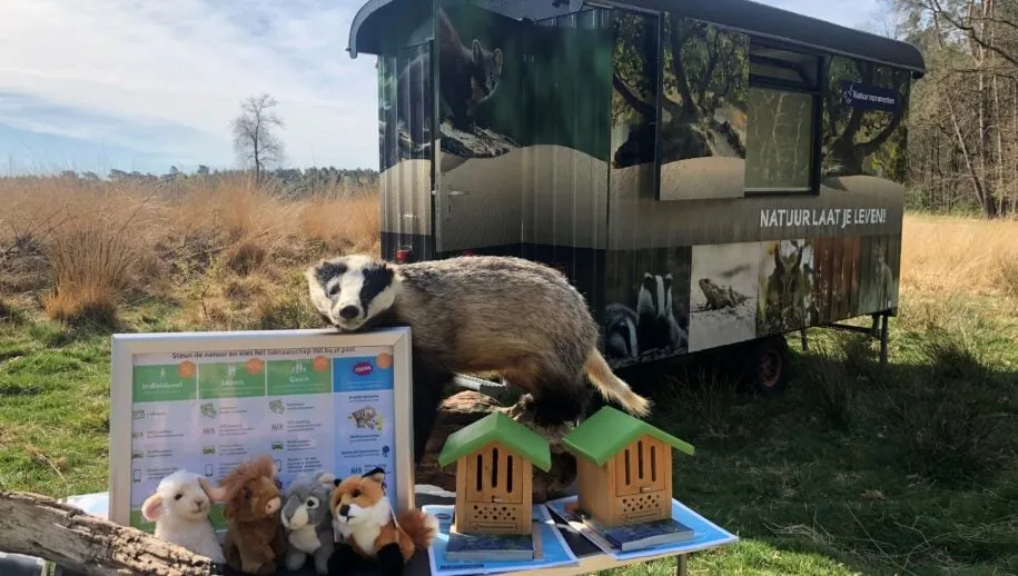 stuif es in wagen voorkant 915x518 1