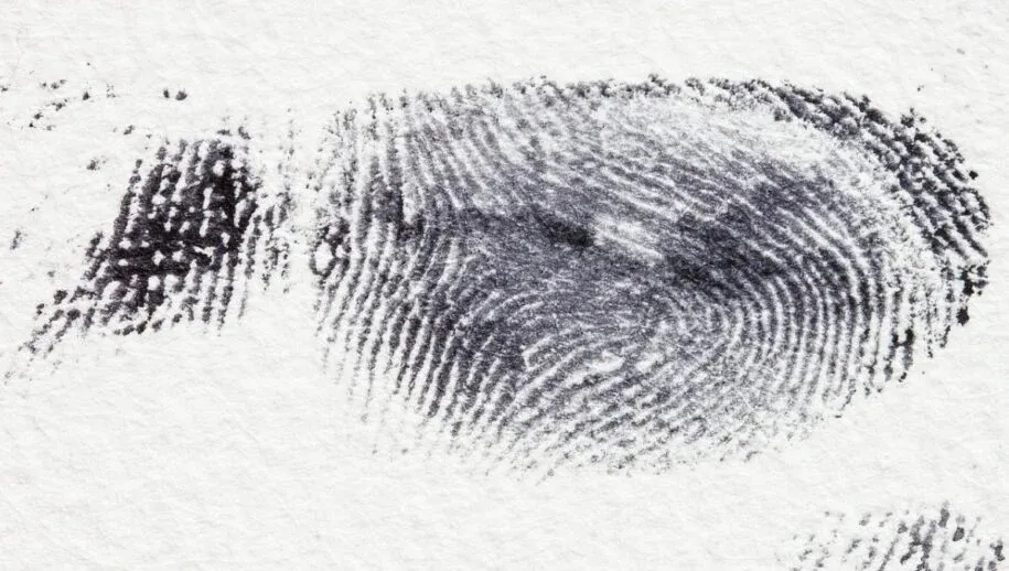 vingerafdruk