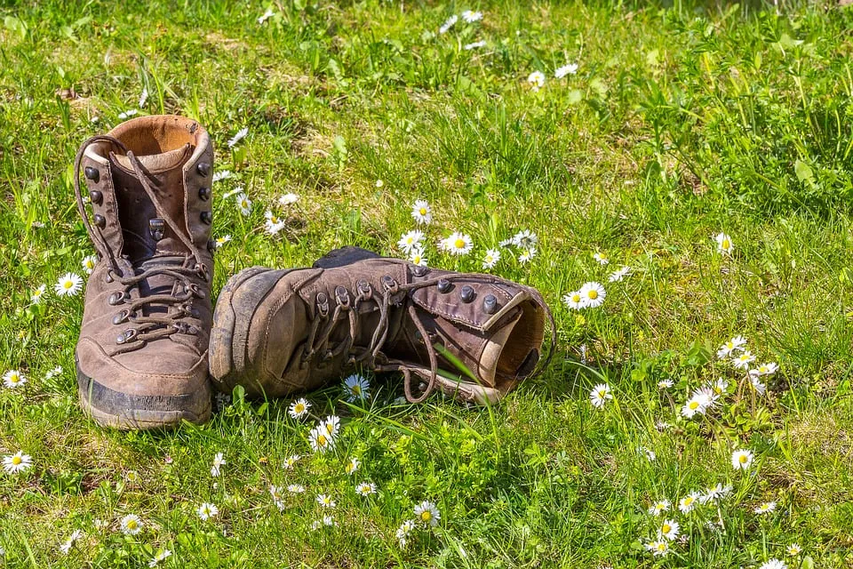 wandelschoenen pix