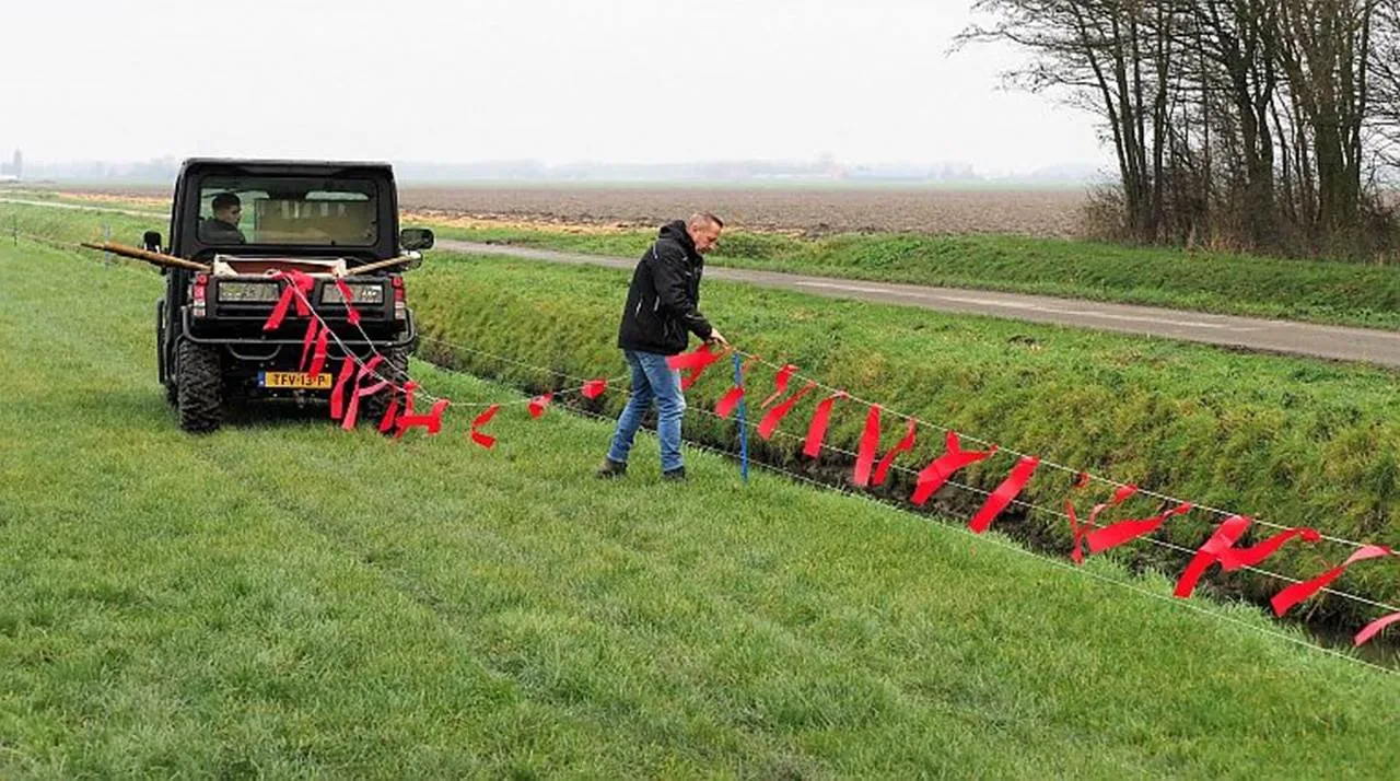 wapperend wolf werend lint