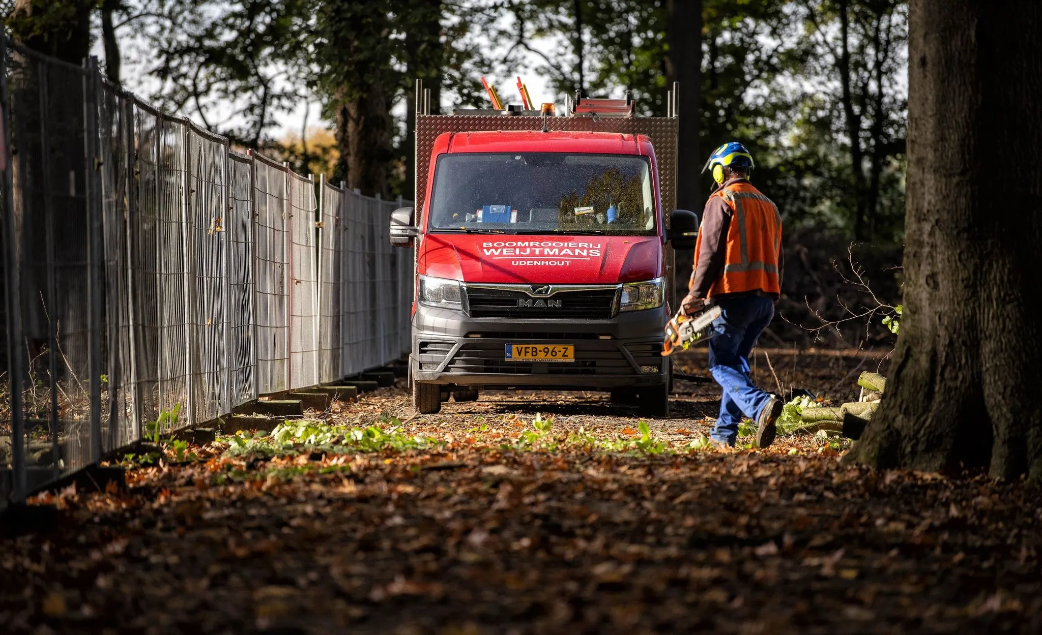 bomen snoeien