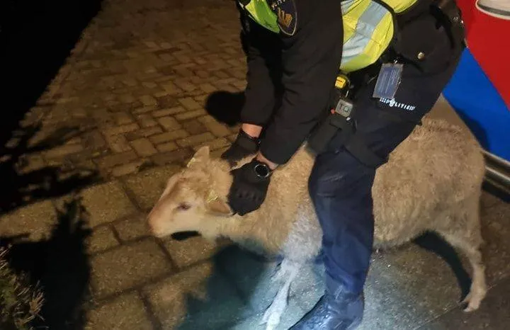 473546152 1037826201711932 6594825542706450467 n