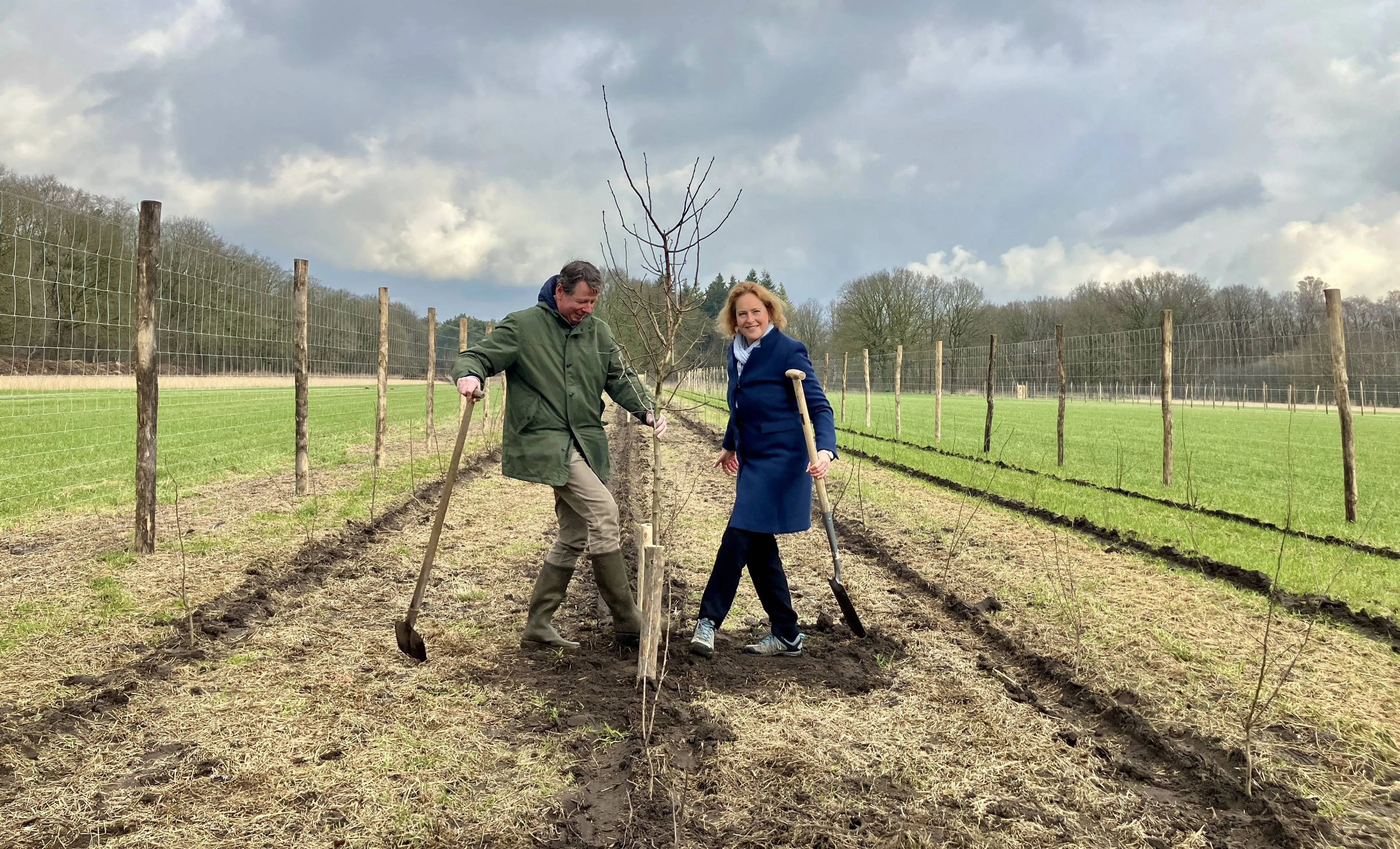 aanplant boom door hagar roijackers