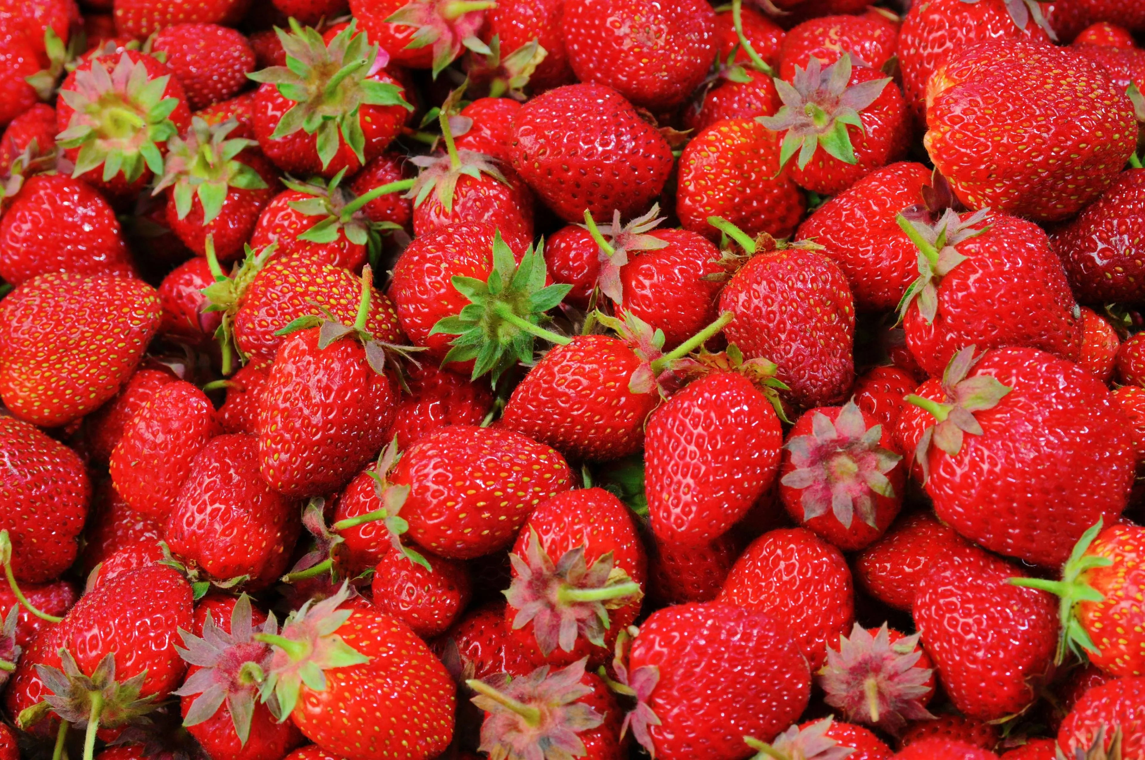aardbeien