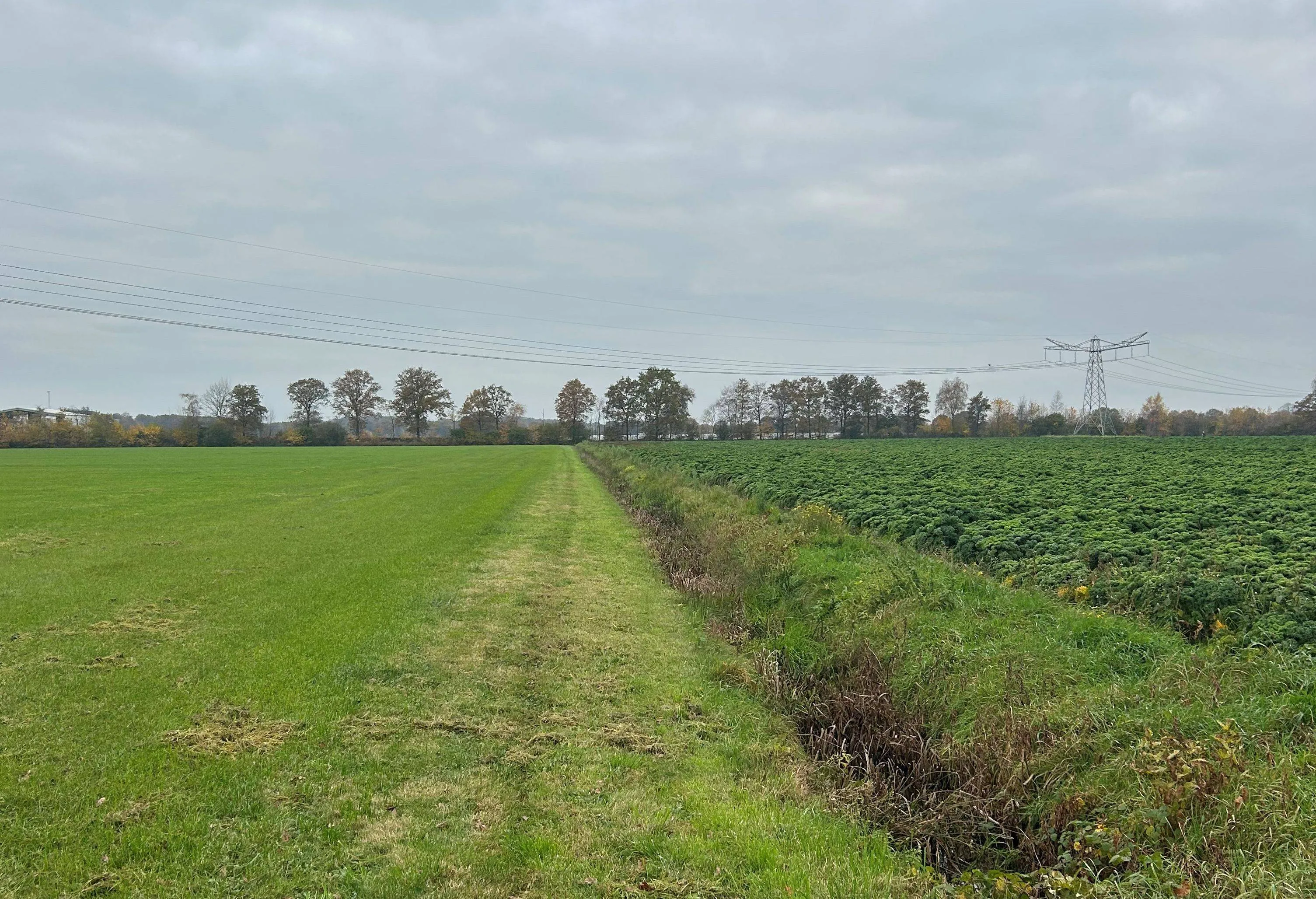 wildertse arm