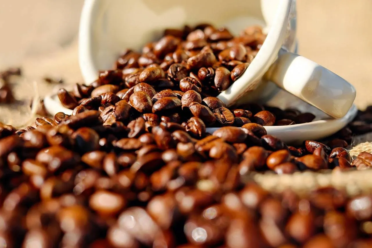 koffie