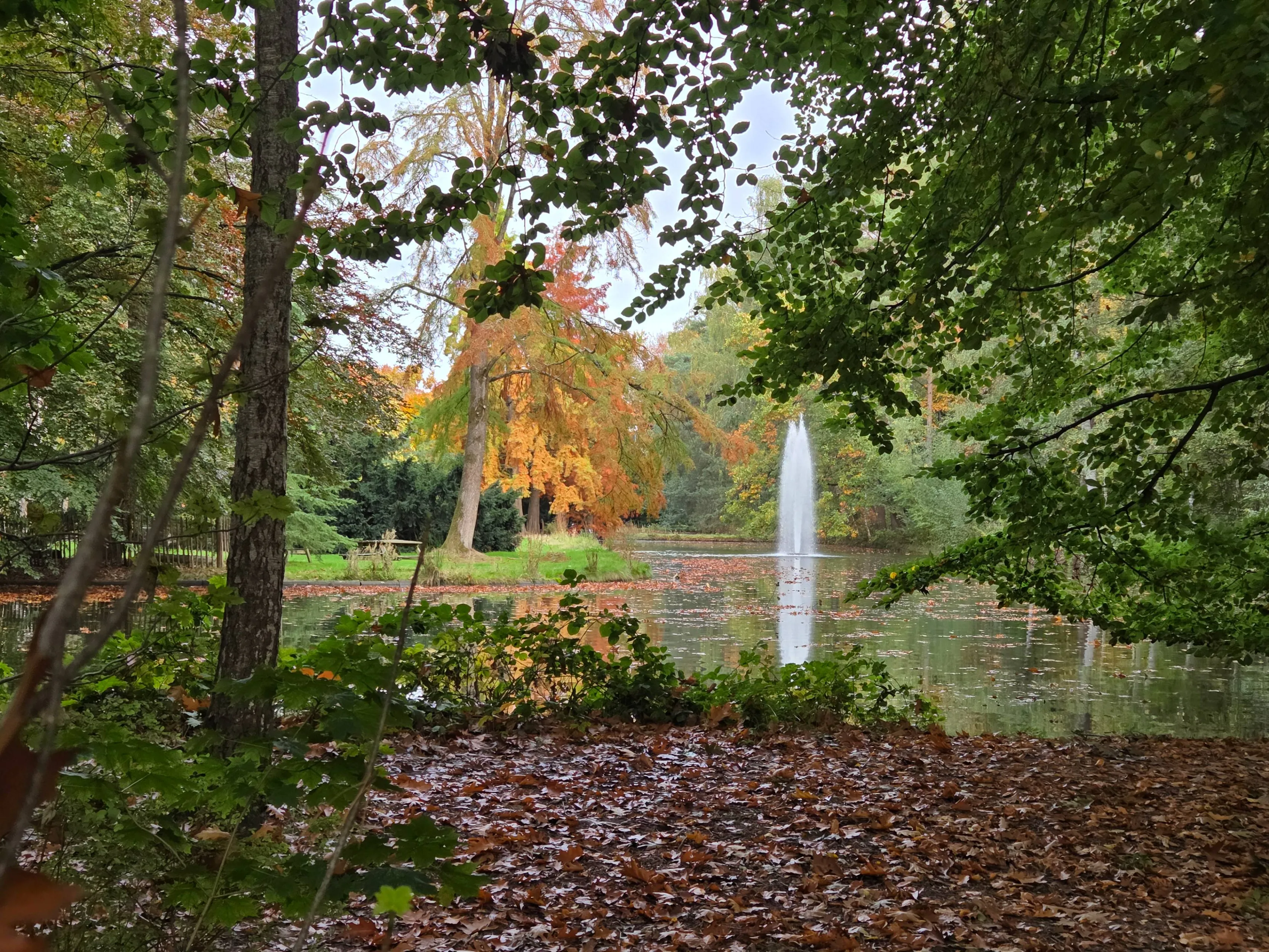 w.s. 2025-2026 foto warande.