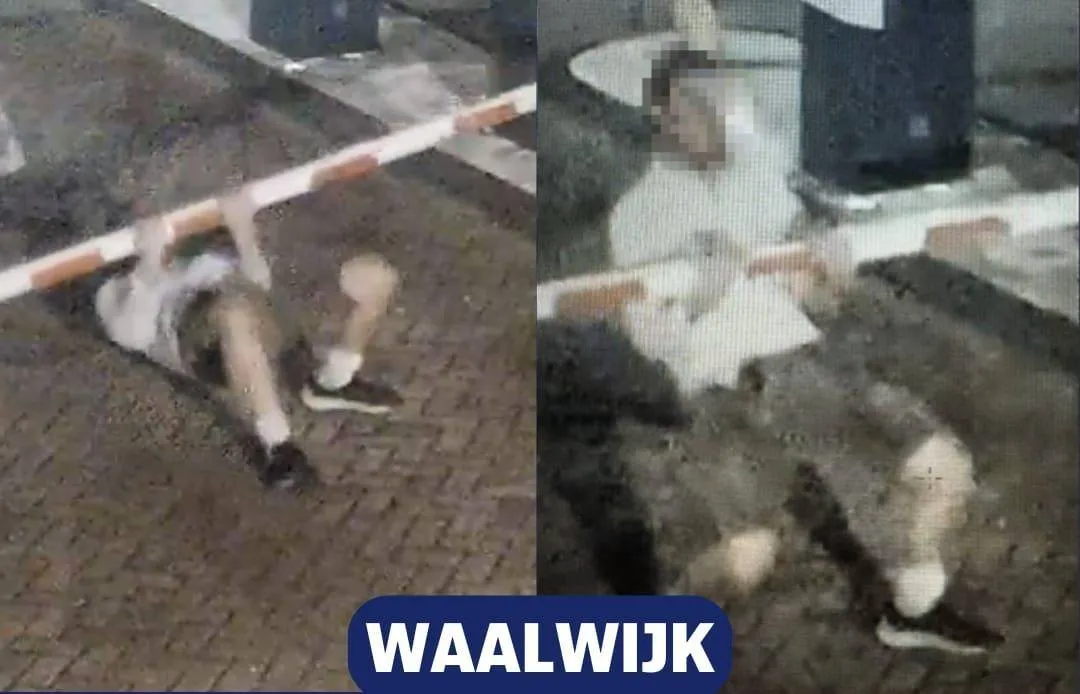 589559073_1301407218687161_5724114996679831167_n