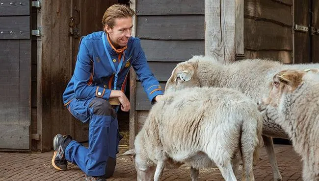 650x370-pakhuys-medewerker-in-loonsche-land