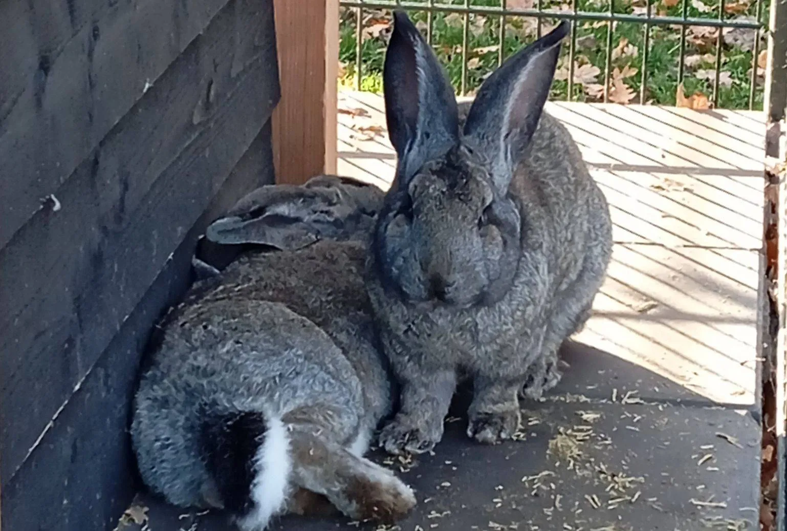 577338536_32234944222787512_9006347675254220963_n