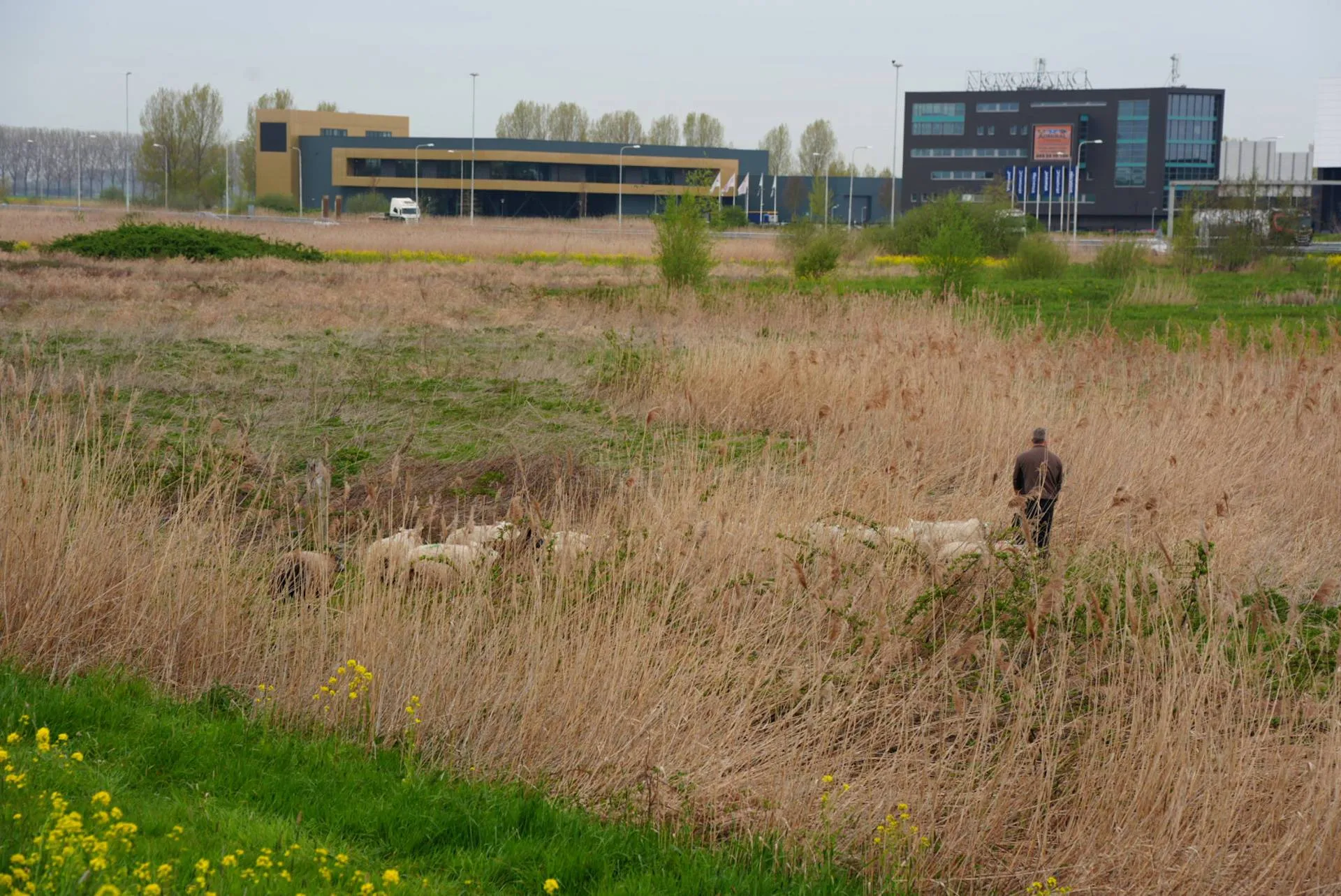 FPMB_SMALL_4A0E056E-E88C-492A-8CA6-1BB5010A5807