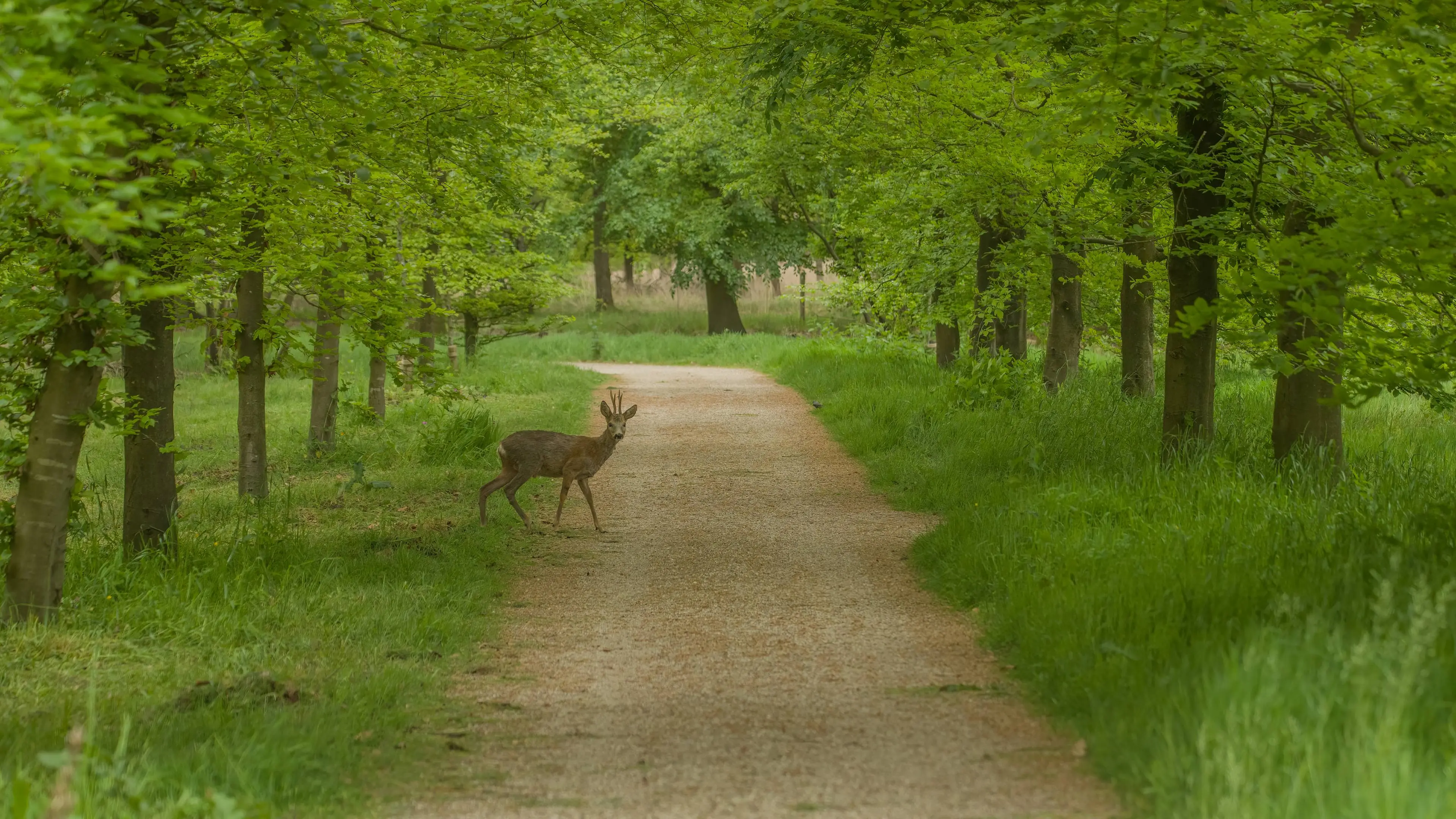 Huis ter Heide
