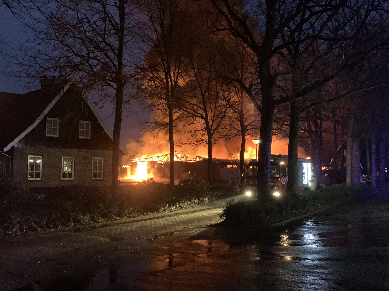 076ed4a2 2d39 4ad1 8b55 109d7ceb7c4e