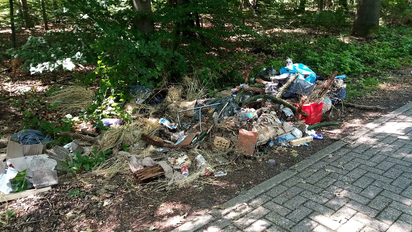 109202722 3096876863764573 1426958782898822610 o