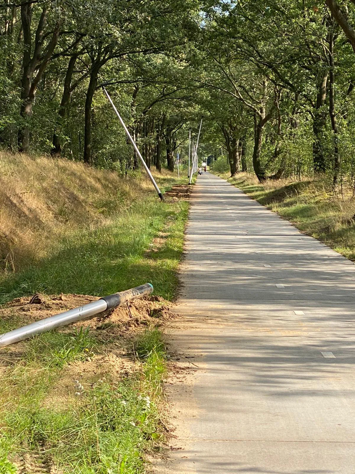 118648819 3231955130245296 3061149127863192015 o