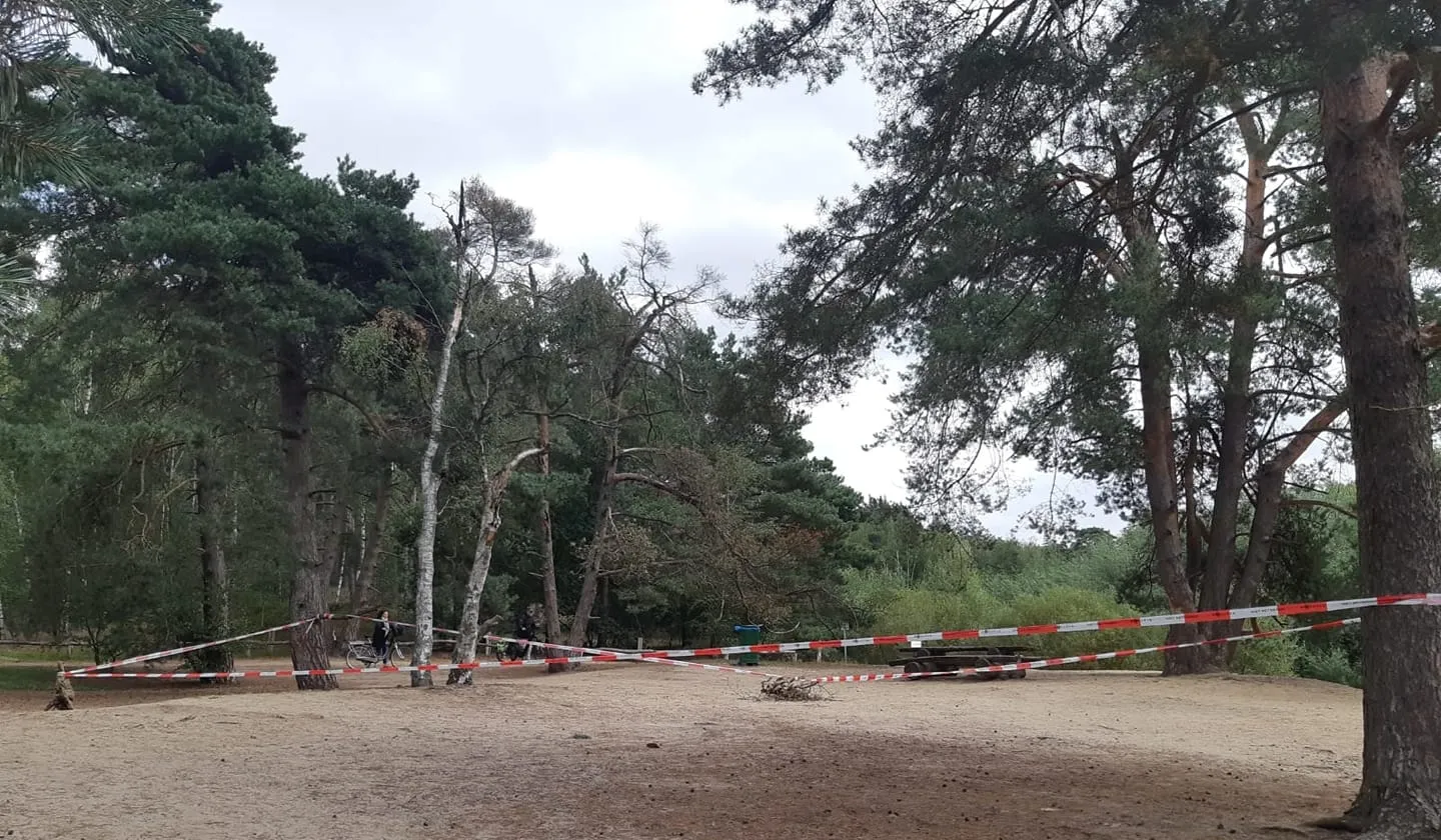 119360229 3474668259251693 3736689227744975958 o