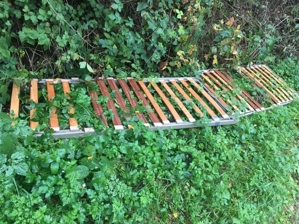 120333919 3536262186405748 590089875945586398 o