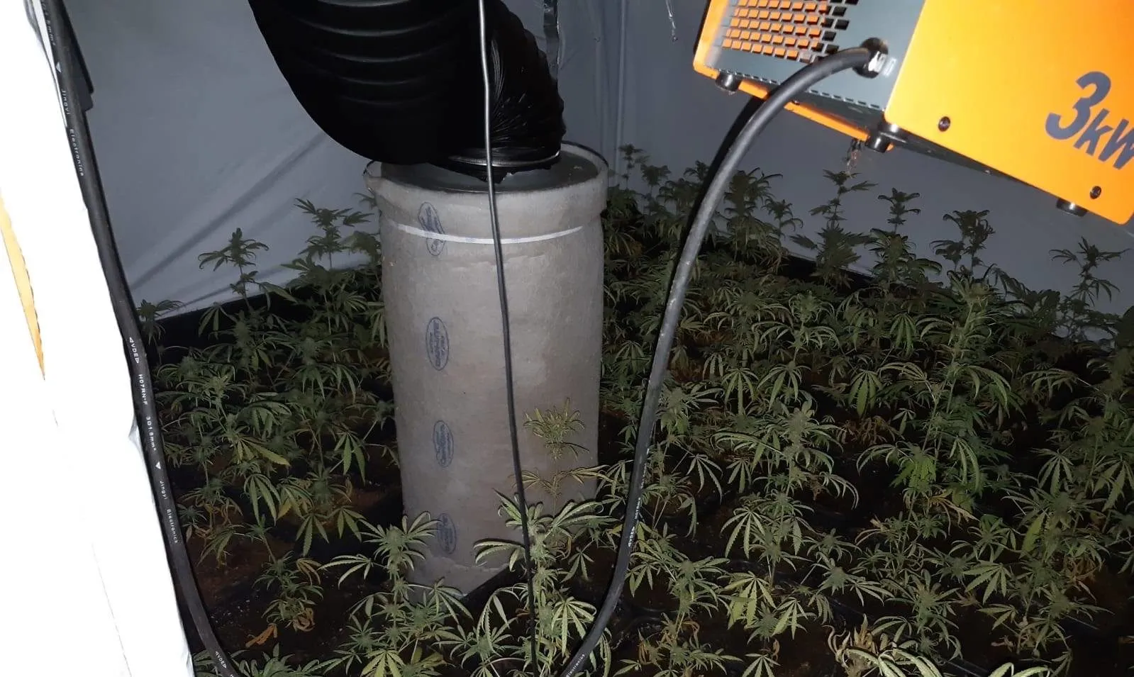 122457780 3596881320363719 4204188813132836773 o e1603386143814