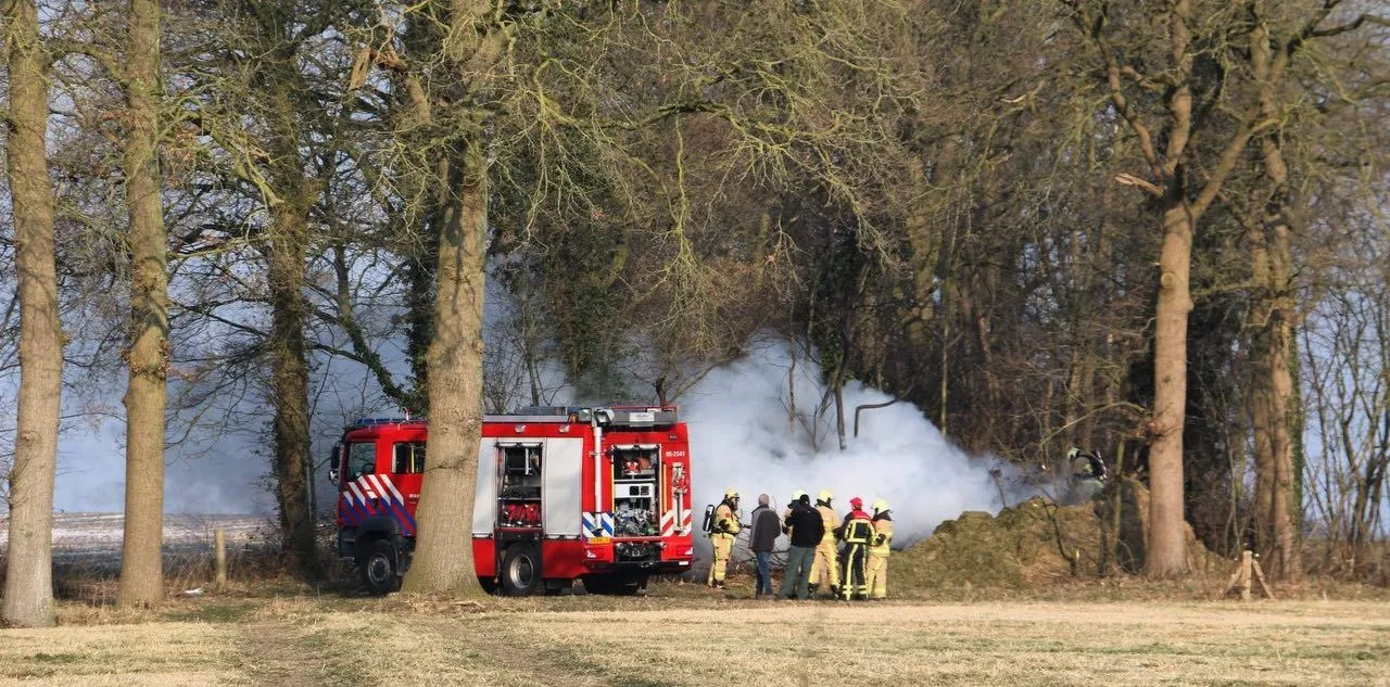 18030040 22181 newsunited e1520069718191