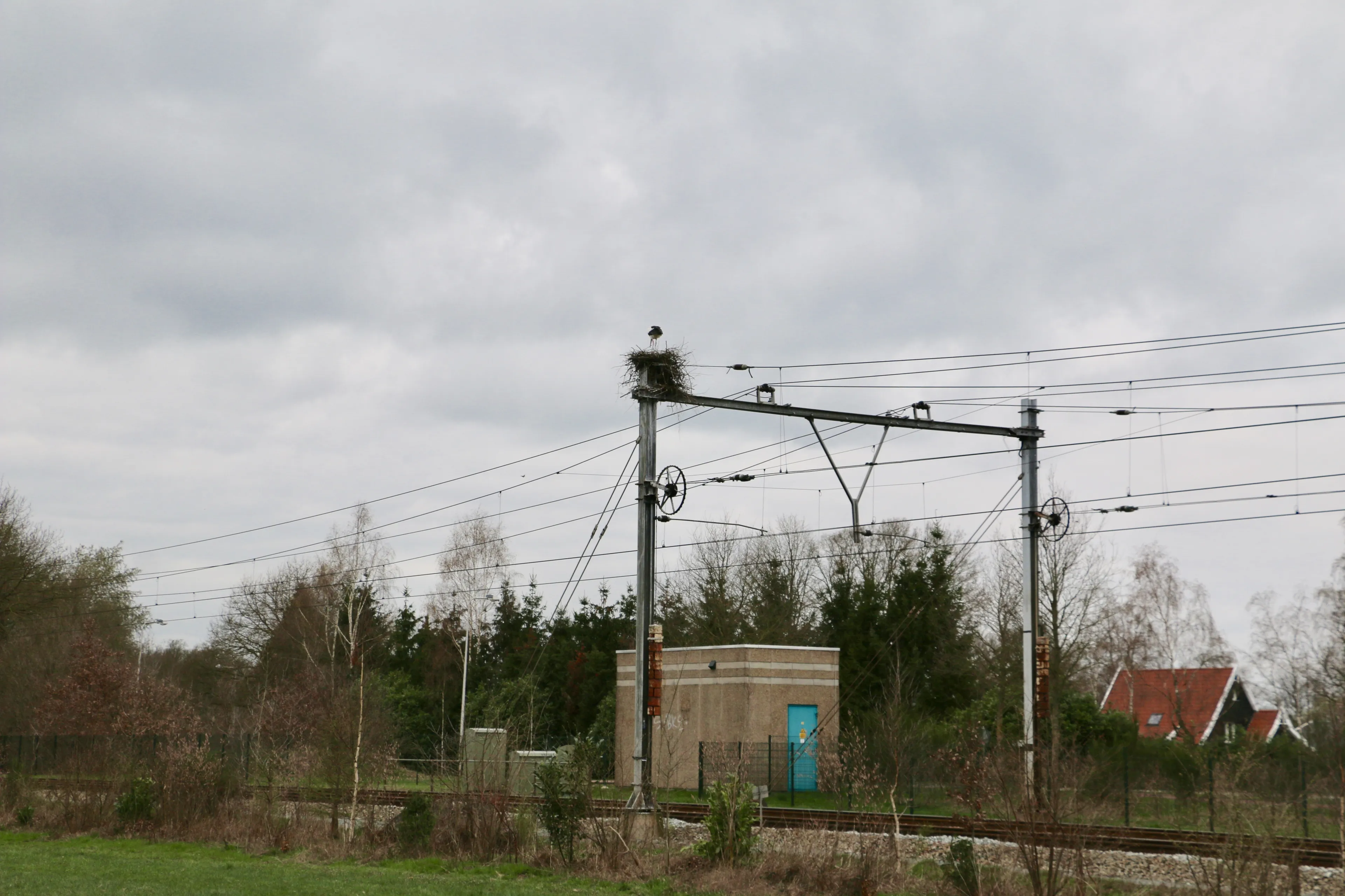 19030705 36378 newsunited