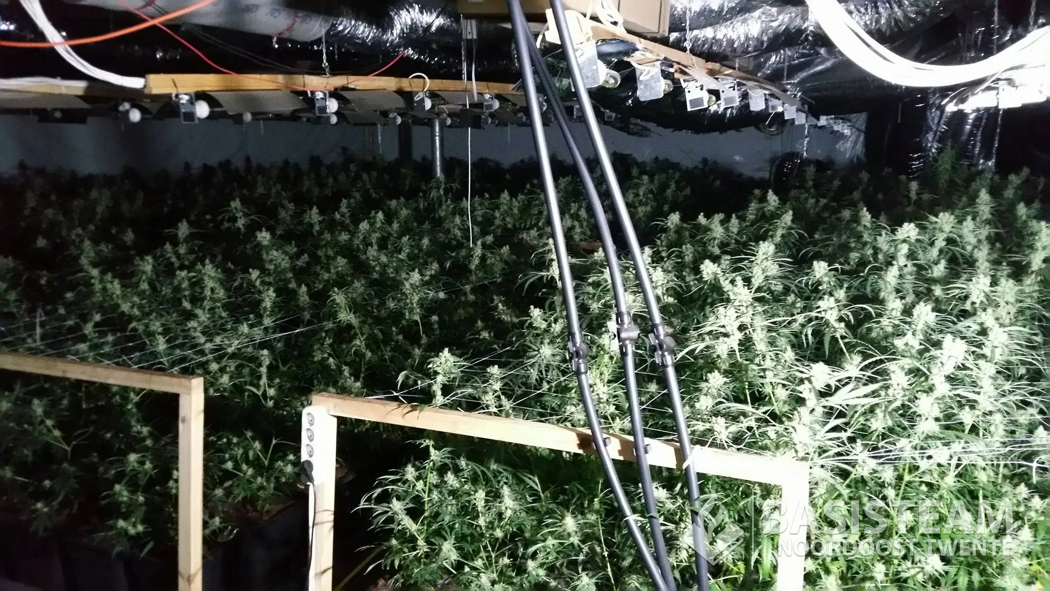 19221539 1491237230928149 6162883133475366791 o