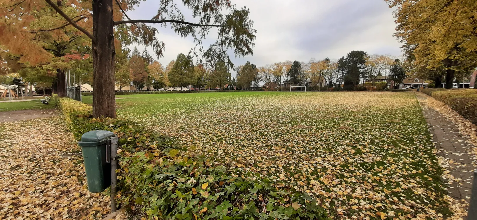 20201027 092341 resized