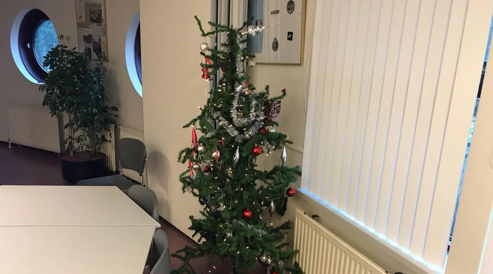 25394617 1669428186442385 6800628606543958792 o