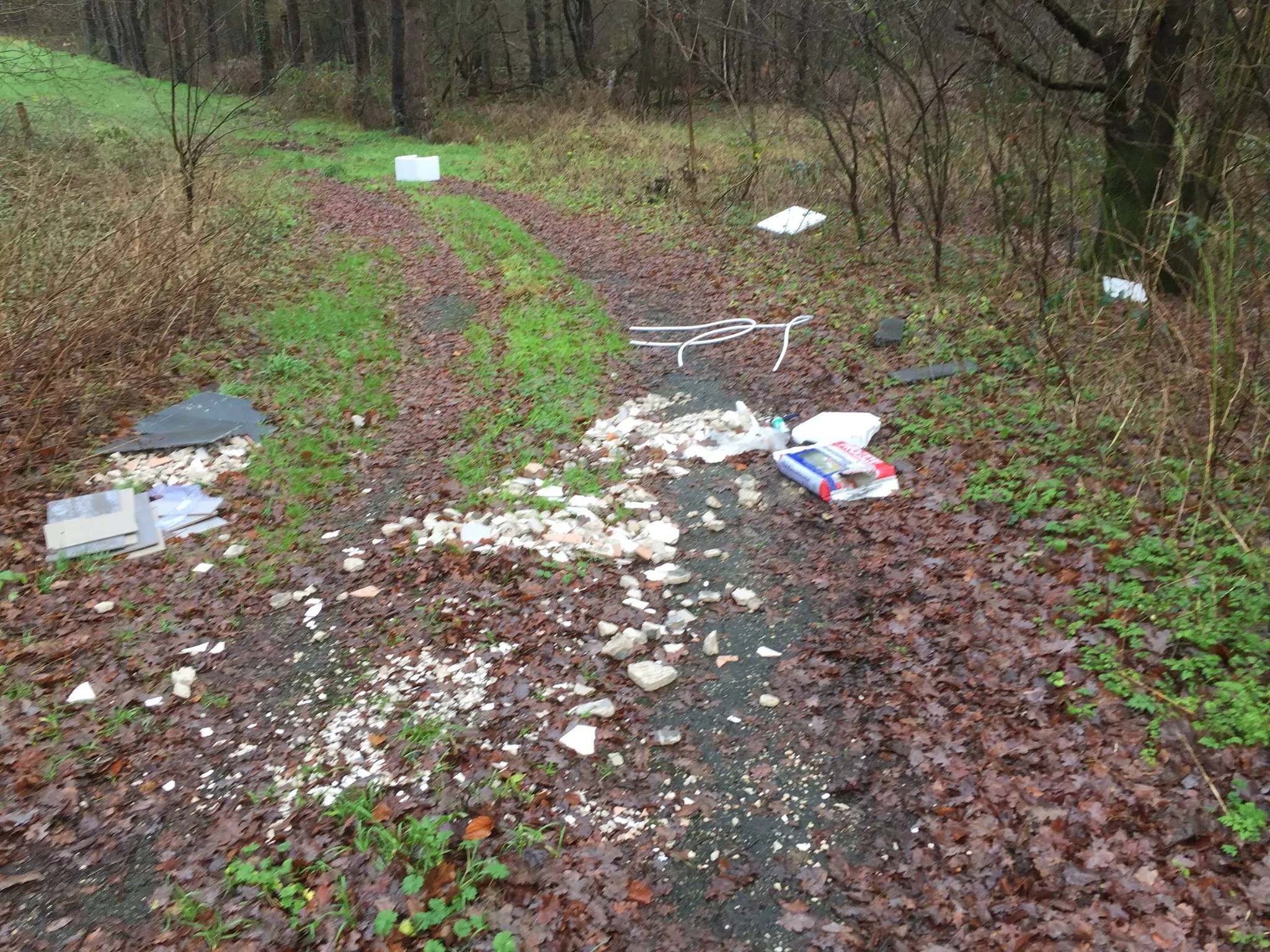 26172108 1600040166755151 5376626005263032253 o