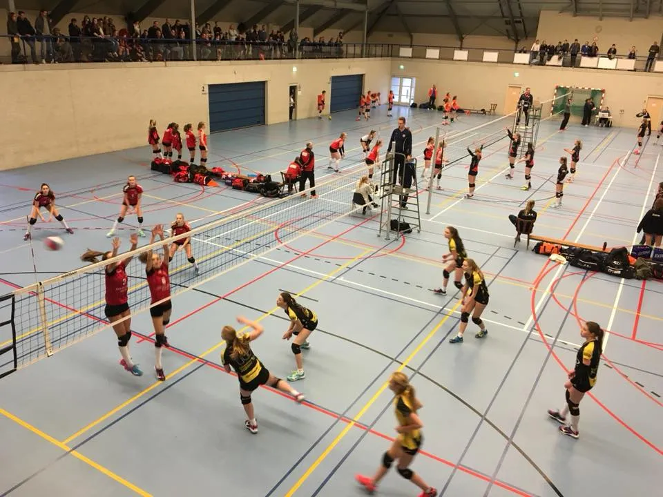 27867530 1419813951463899 1879013687288096043 n