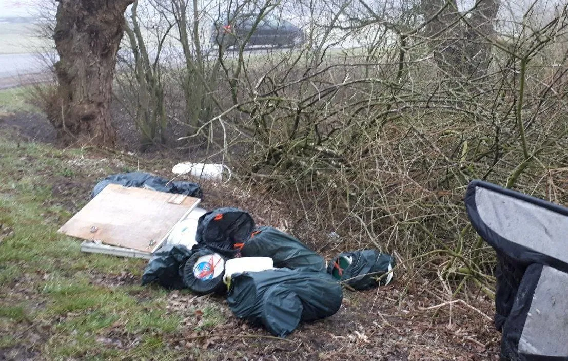 29354700 1773754532676416 7587651313931256885 o e1522082544814