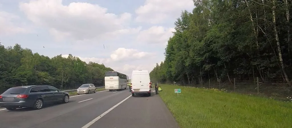 32462808 1823466641038538 7009043708293152768 o e1526239976567