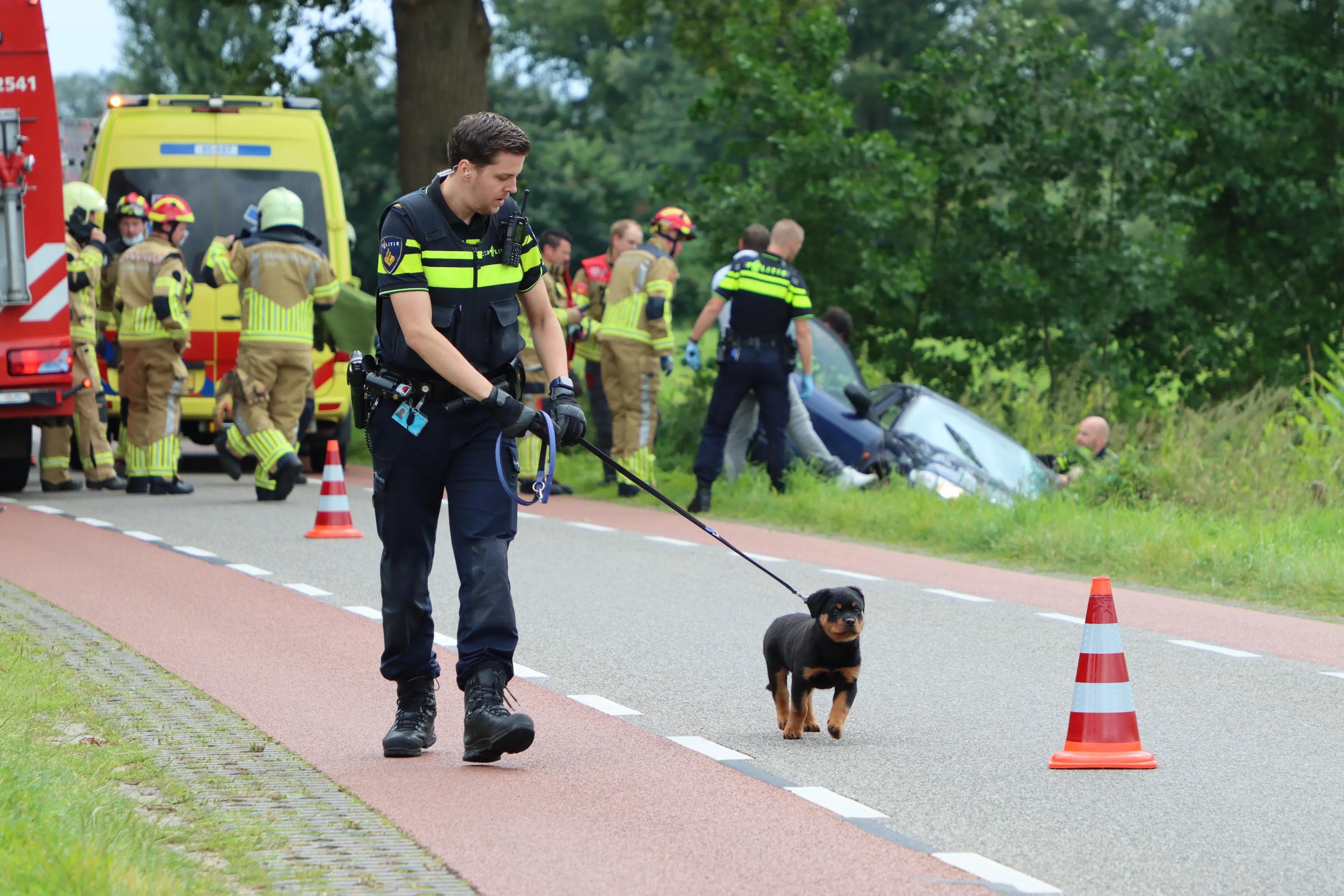 3482cd73 6c43 47de bb4d 5fe665a8c45b