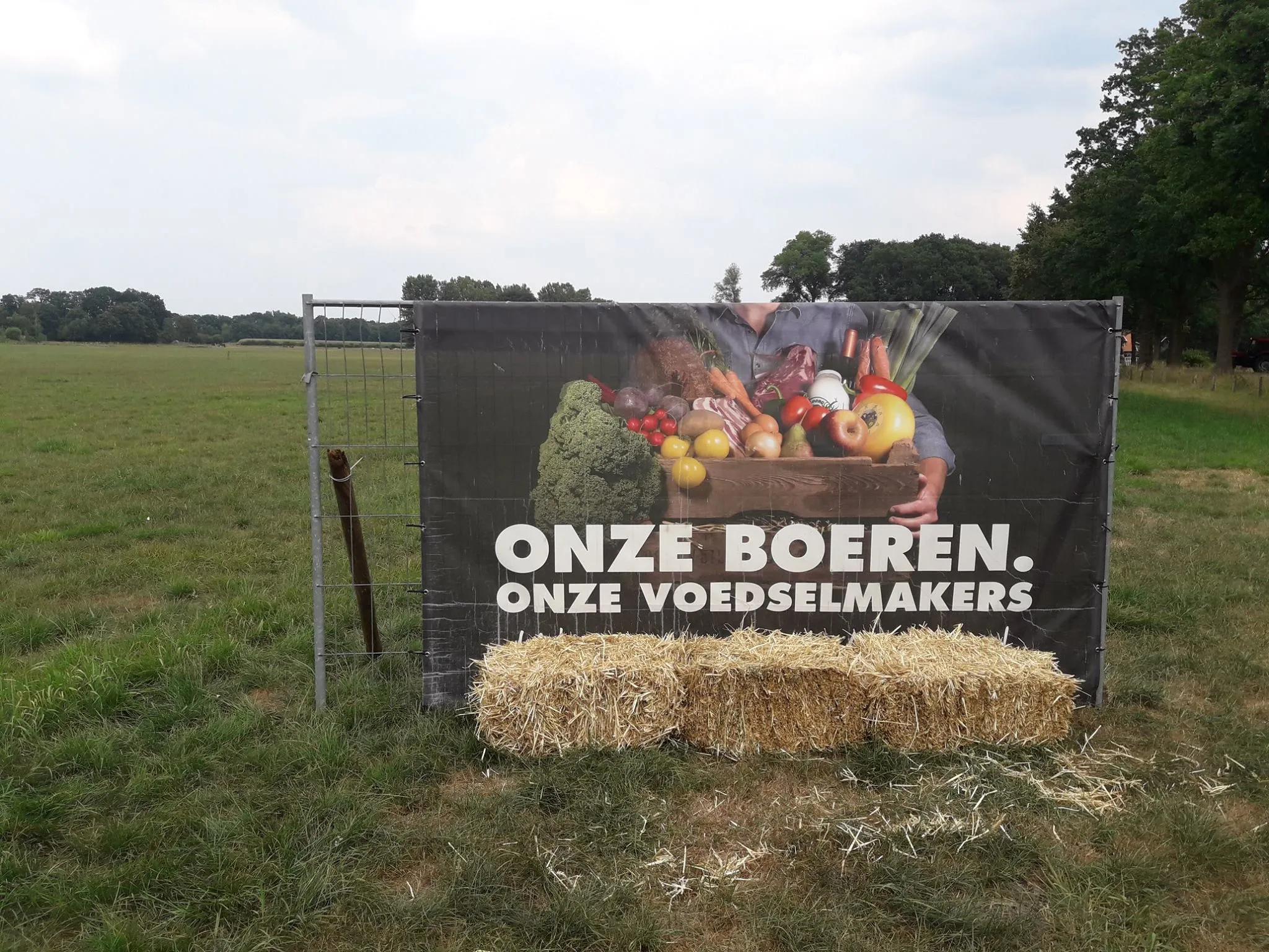 37631587 247834645825113 4382888373220540416 o