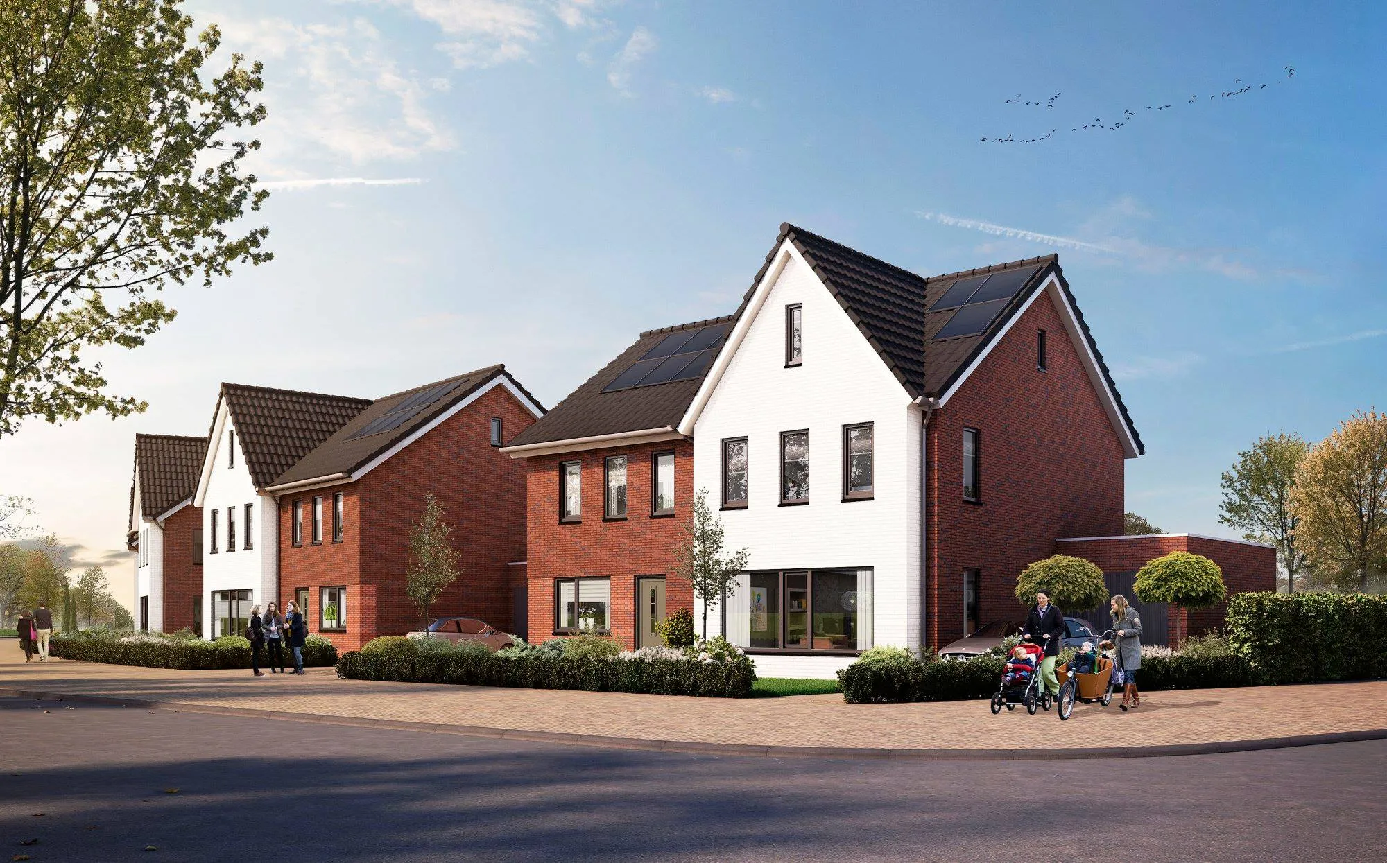 46495377 1619515594862012 4996241498732232704 o