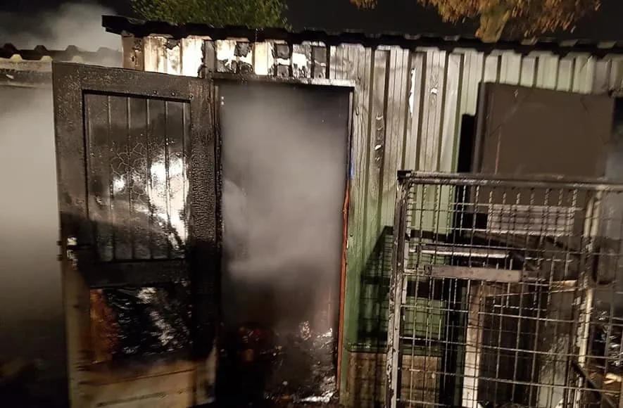 46673245 2094721270579739 3619387357158965248 n e1543043212491