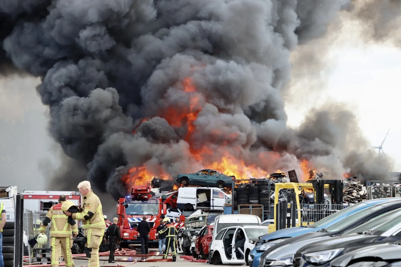 4770fac2 c44a 4555 8cf5 2f5211fa8b5c