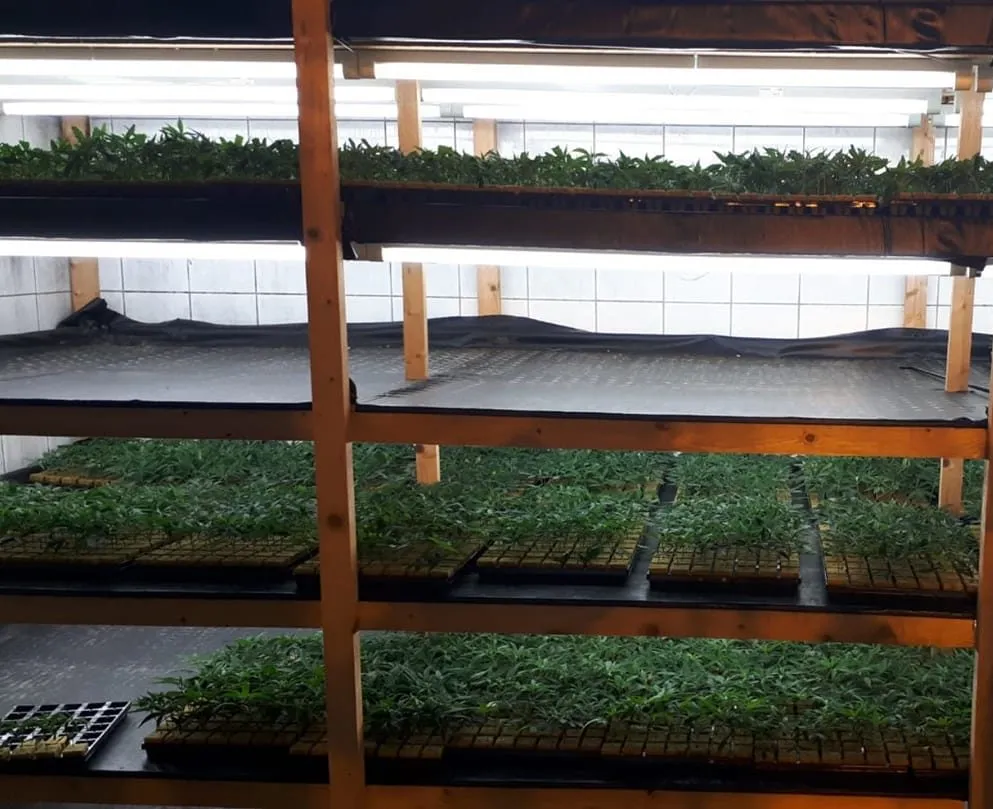 50601087 2186184058100126 6593483116776521728 o e1548522817123