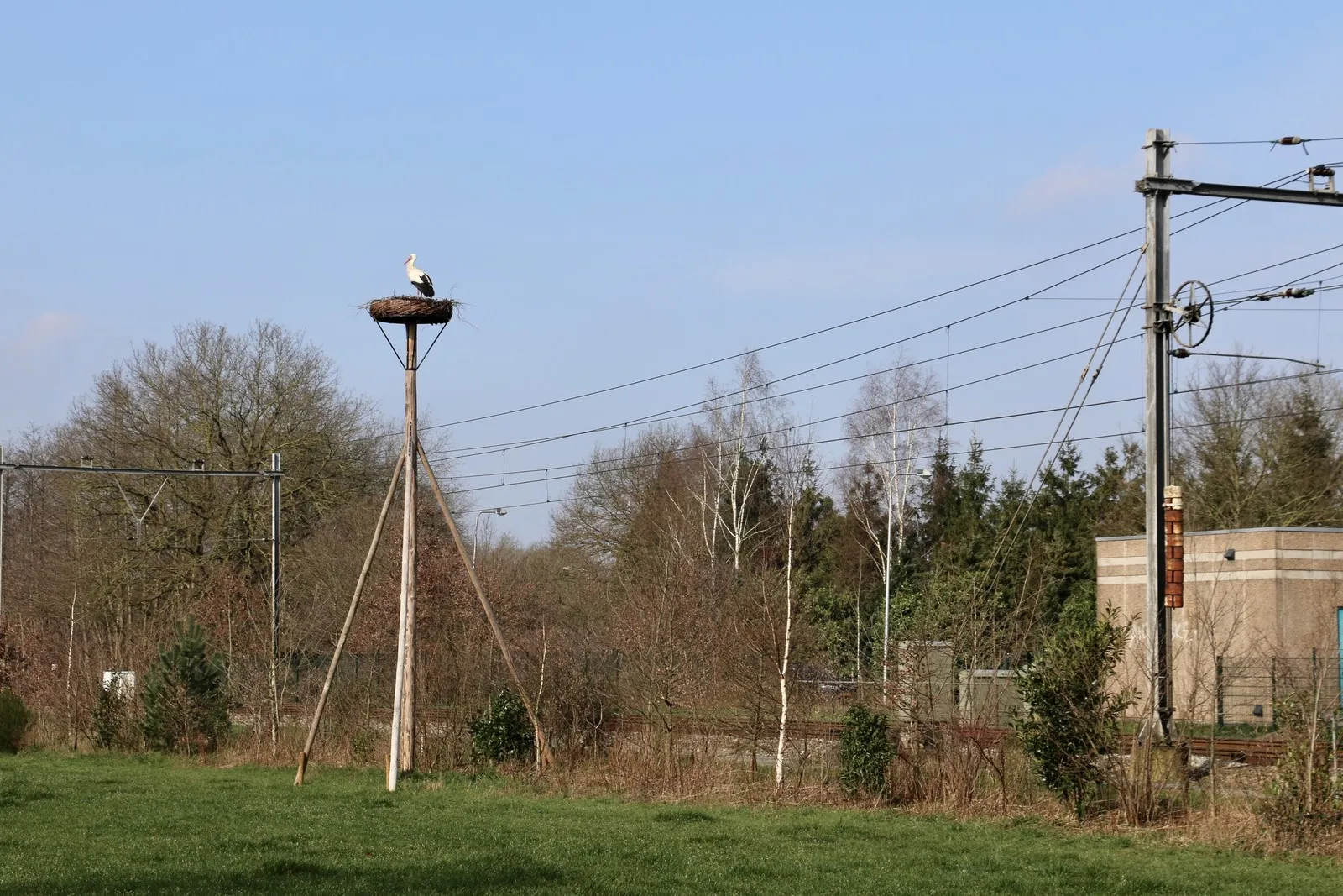 562c6392 84cf 4e1b 93cd e0b4c6a25089