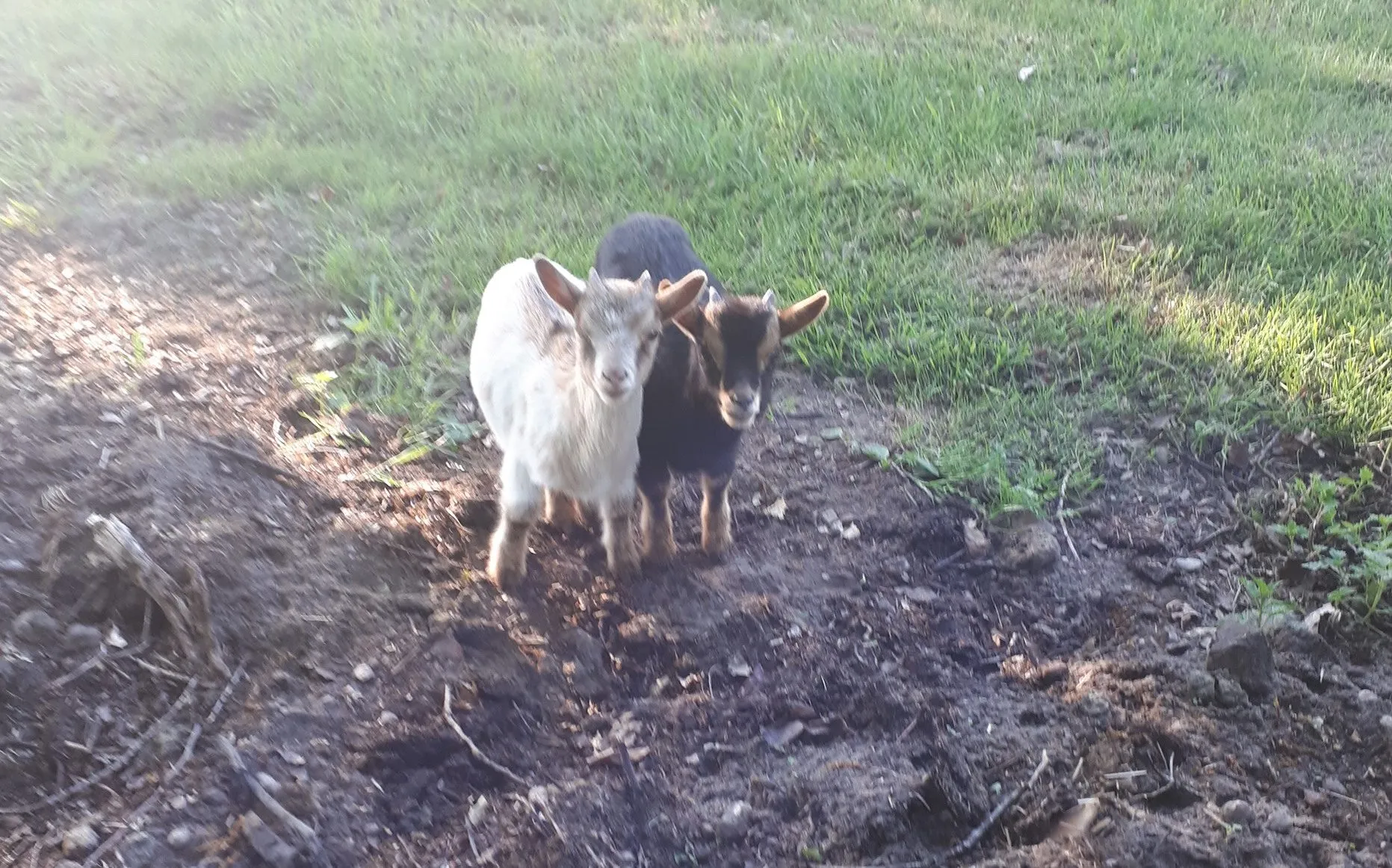 61111445 2366879740030556 4191855567993569280 o e1558603222127