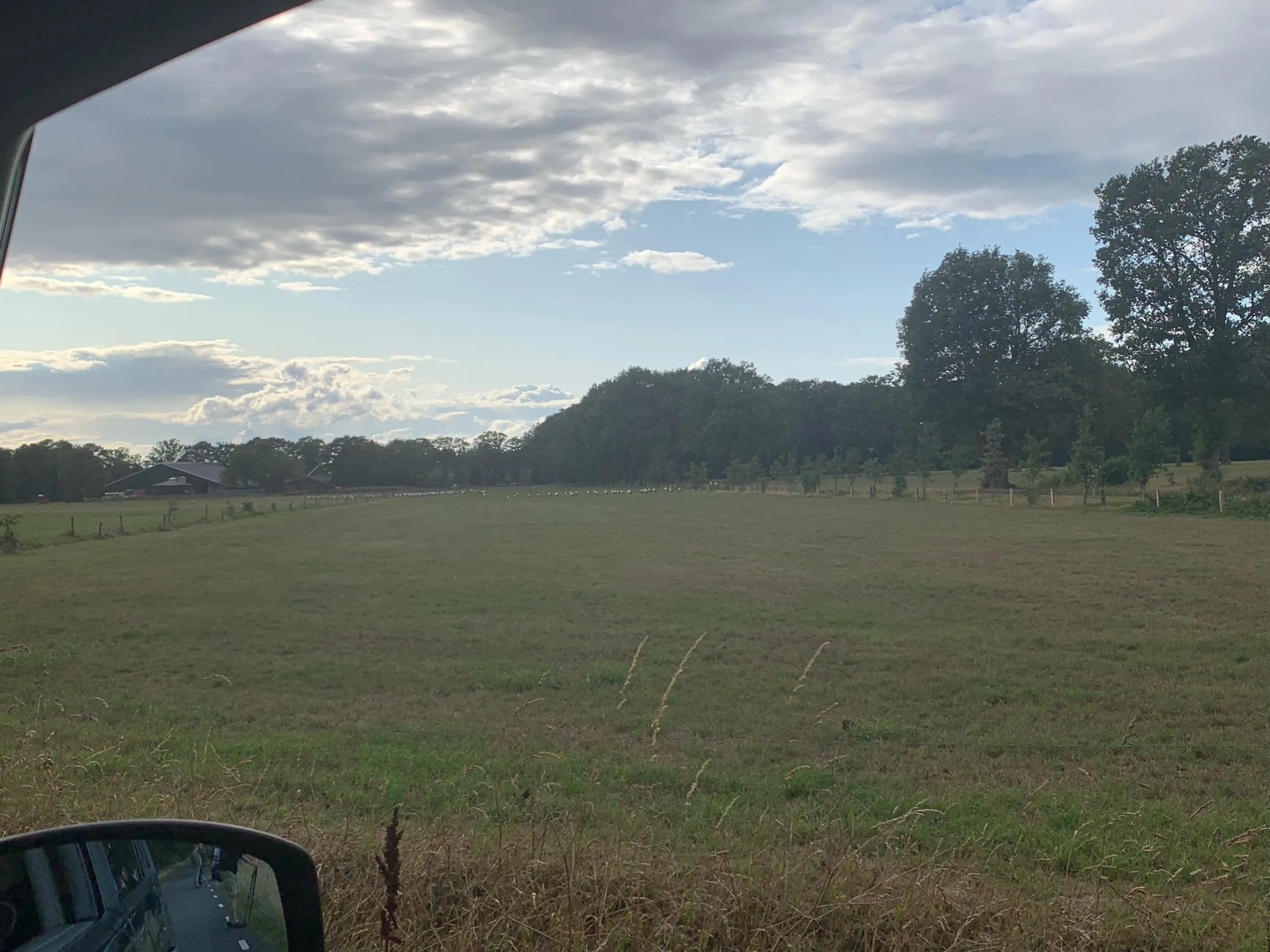 68915140 340085576875518 1607870468100980736 n