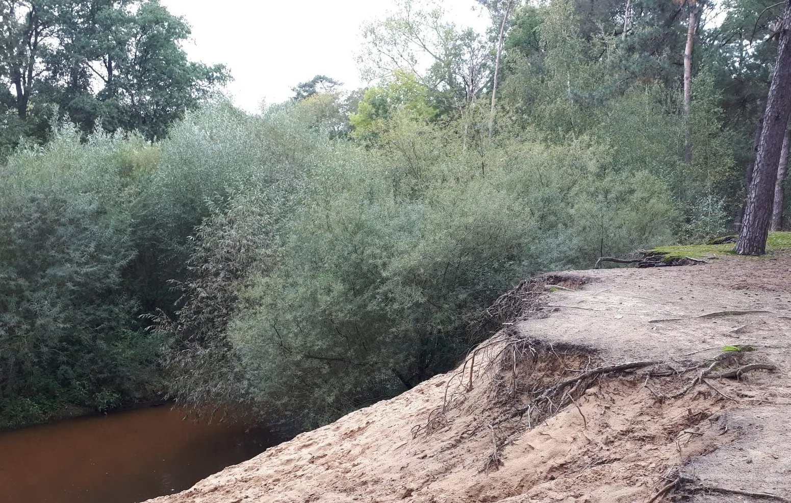 71933272 2487065451376399 9002880471851335680 o e1570371770287