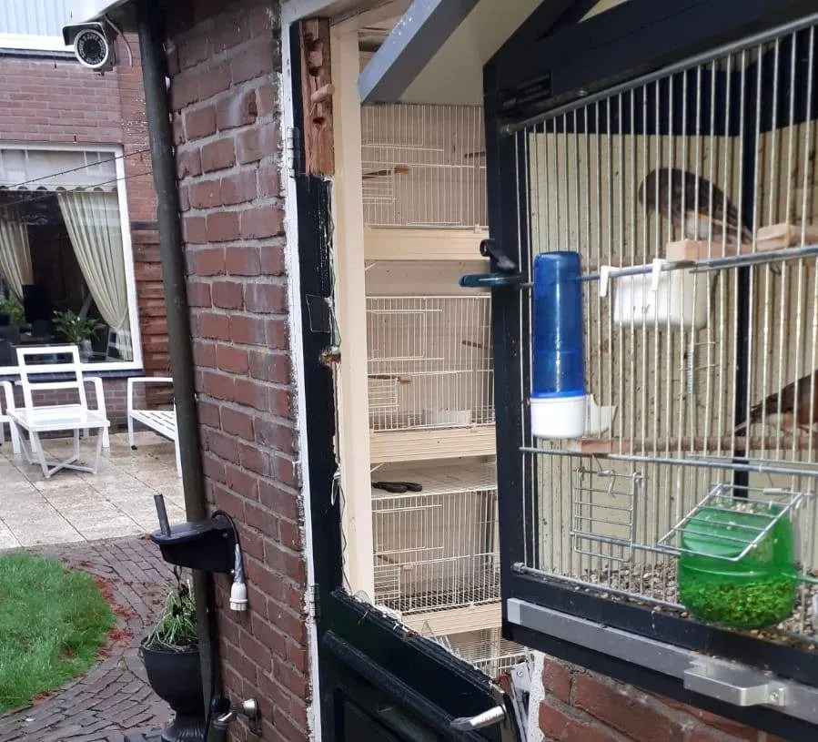 78056871 2717803878271472 532740781253853184 o e1574095361630