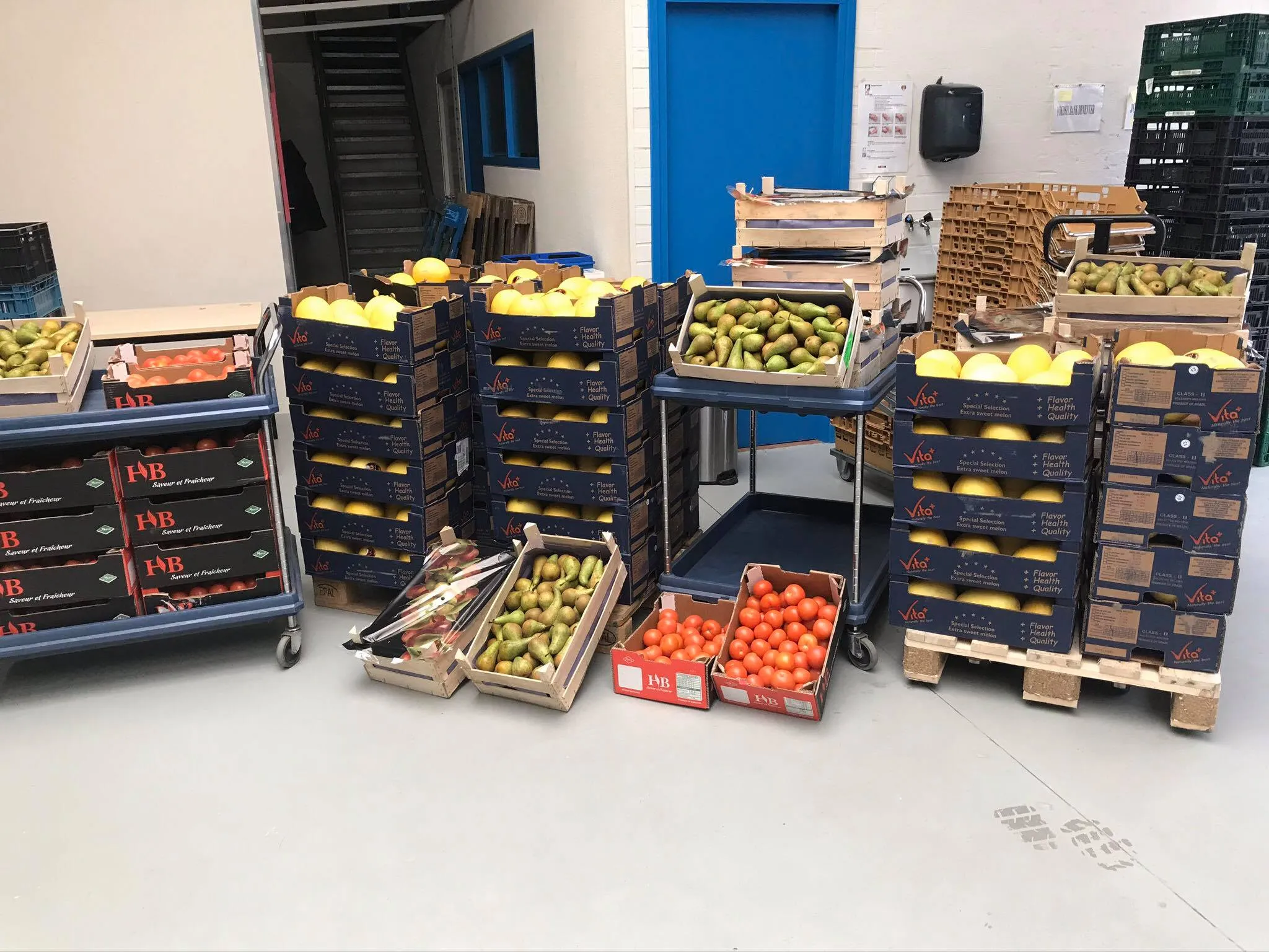 90118708 130331991865833 8013805900798099456 o