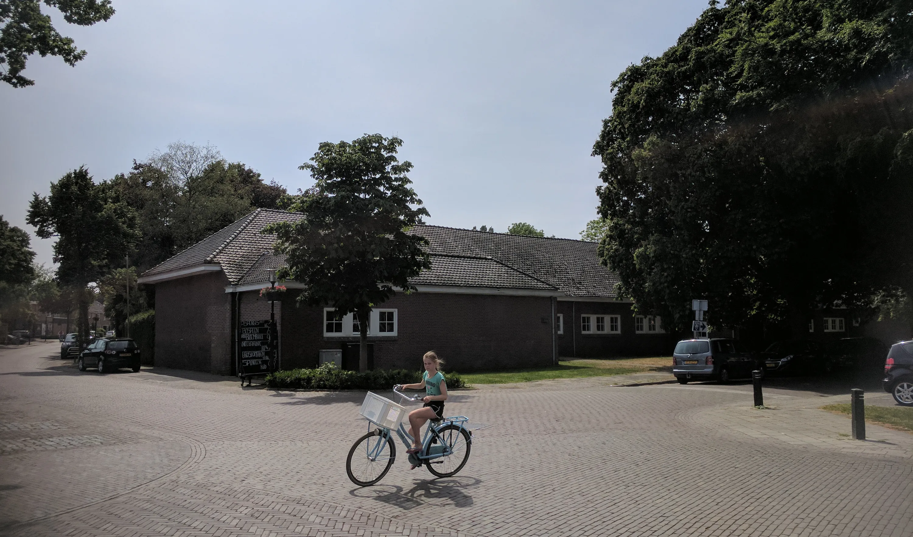 aloysiusschool vanaf straat