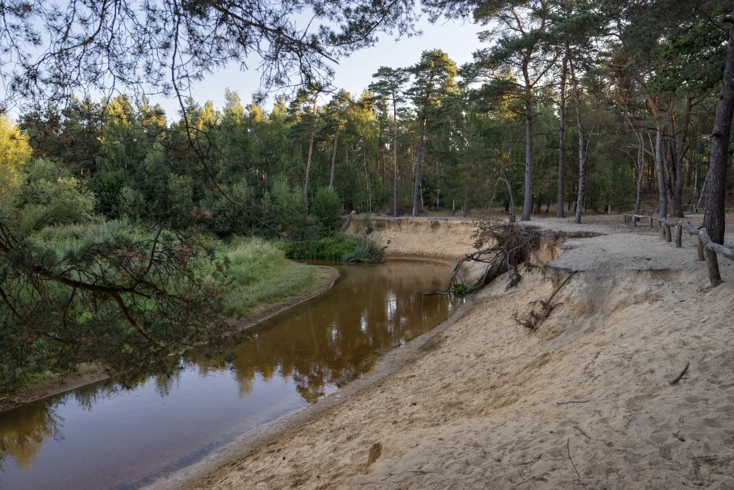erosie langs de oever van de dinkel at marco van de burgwal staatsbosbeheer