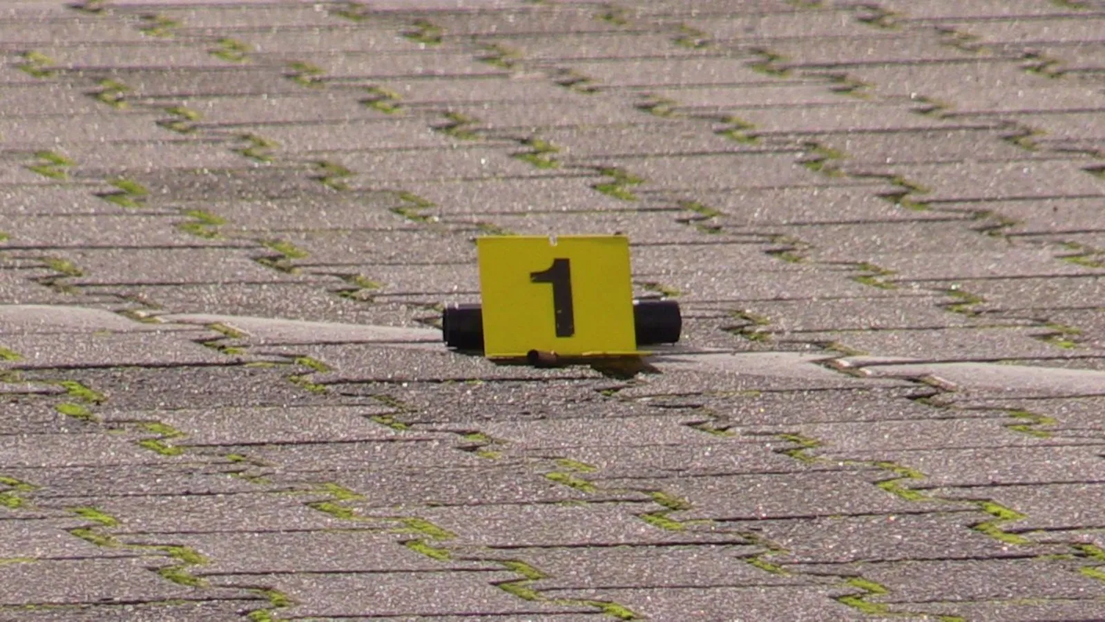 img 20191003 121928 427